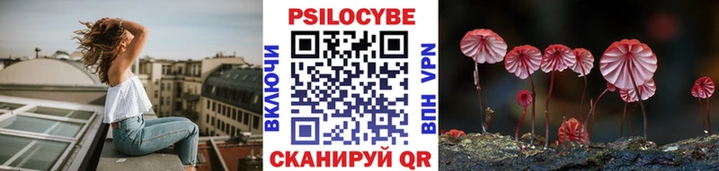 закладка  Камень-на-Оби  Псилоцибиновые грибы ЛСД 