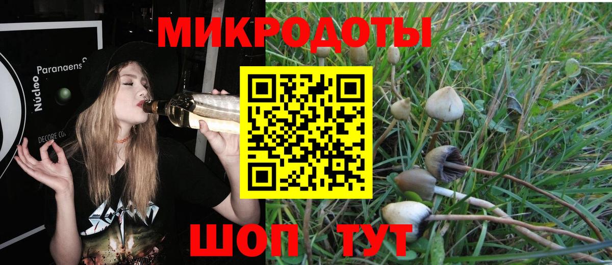 Галлюциногенные грибы прущие грибы Камень-на-Оби