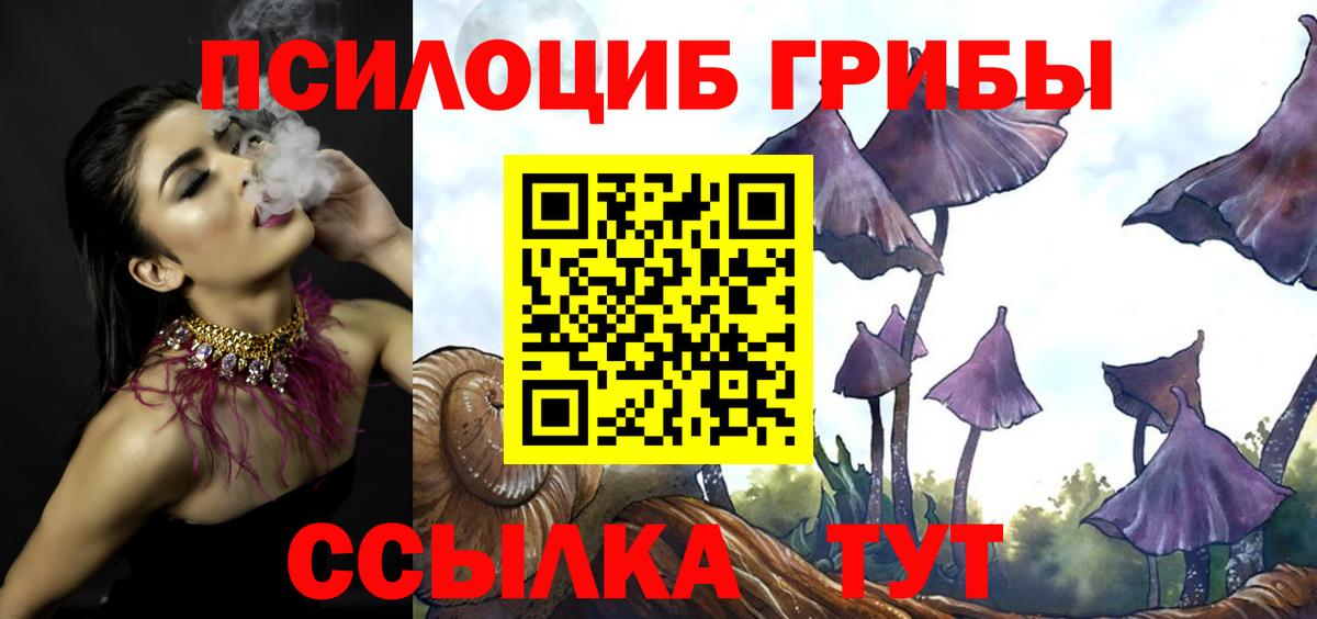 ГАШИШ  A PVP СК кристаллы  Меф МЯУ МЯУ кристаллы  ГАШИШ  Камень-на-Оби  Канабис  Меф МЯУ МЯУ  