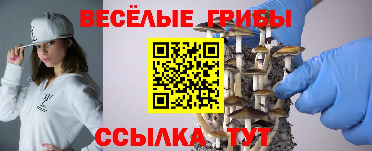 Камень-на-Оби  КОКАИН  ГАШ  Продажа наркотиков  Кетыч  Вход с VPN  МАРИХУАНА  Меф  Круглые  APVP 