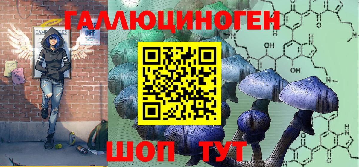 Галлюциногенные грибы Magic Shrooms  Камень-на-Оби  как найти   Псилоцибиновые грибы Cubensis 